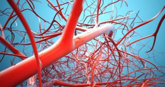 Researchers turn to molecule in blood vessels to make cancer therapy more effective