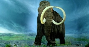 Woolly mammoths could soon walk among us