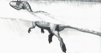 Sketch of a swimming theropod dinosaur on the shores of the Cretaceous lake Cameros in Spain.