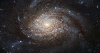 Dark matter halos around the Universe, including around galaxies, have an attractor