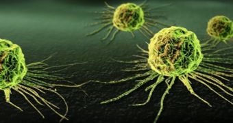 Researchers claim it might be possible to stop the spread of cancer by blocking signals sent by tumor cells