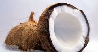 A picture showing a coconut - contents, hard shell, and husk