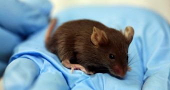 Scientists prove inception is possible, plant false memories in mice
