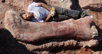 Giant fossilized bones were discovered in an Argentina desert