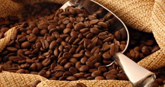 Researchers claim to have created booze using coffee as their raw material