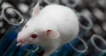 Researchers use light to make lab mice forget certain things