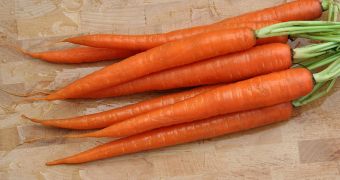 Harvested carrots, a great source of vitamin A