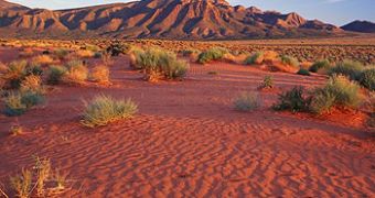 The Australian desert, the central stage for research into climate changes