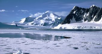 Researchers say sea ice in the Antarctica has reached a new record high
