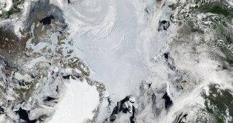 Arctic sea ice decline promotes the release of bromine into the atmosphere