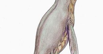 Artist's reconstruction of a pliosaur