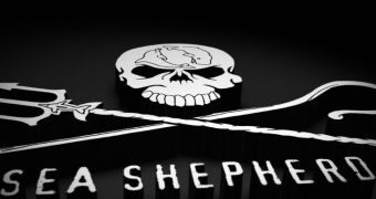 Sea Shepherd activist claims to have been cornered and threatened by seal killed in village in Scotland