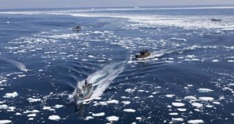 The SSCS fleet is seen here chasing the Japanese whaling fleet in Antarctica