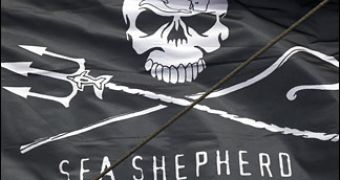 Sea Shepherd hopes Southwest Airlines will agree to cut all ties with SeaWorld, team up with the organization instead