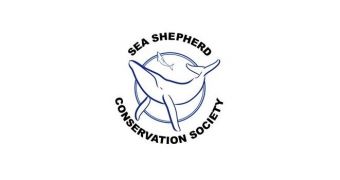 Sea Shepherd vessel Bob Barker finds the retreating Japanese whaling fleet