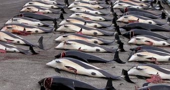 Sea Shepherd Goes After Denmark, Reports It at the European Commission