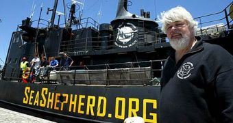 Green group Sea Shepherd need help fighting Japanese whalers in court