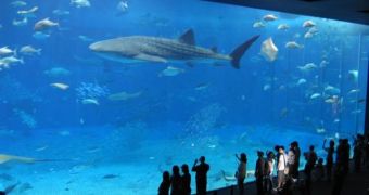Sea Shepherd Speaks Against New Toronto Aquarium