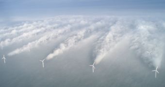 Walls of wind turbines could protect cities against hurricanes, a new study suggests