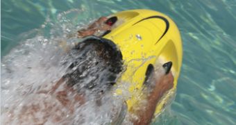 SeaBob: A Yellow Dolphin-like Device
