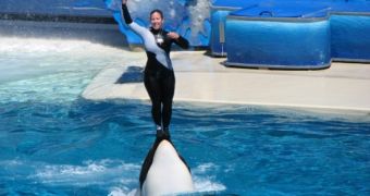 SeaWorld publishes open letter, says it is not guilty of animal cruelty