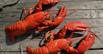 PETA wishes to file complaint against seafood plant in Maine