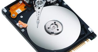 Seagate to Release SSD and 2-TB HDD in 2009