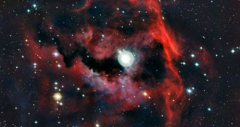 ESO astronomers produce impressive view of the Seagull Nebula