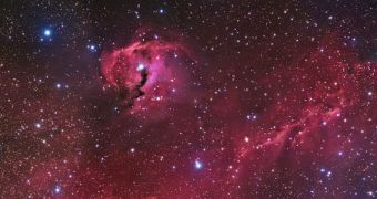 Image showing the glowing gas and dust of the Seagull Nebula