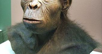 Early hominids may have experienced a boost in mental abilities due to good nutrition and migrations