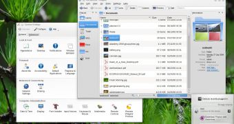 Dolphin and System Settings in KDE SC 4.4