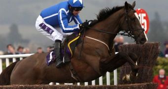 Little Josh dies after a shoulder injury at Aintree