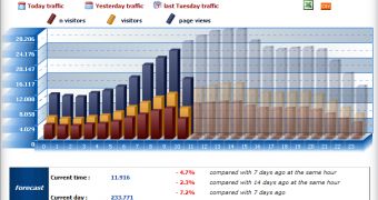 Example of Web Traffic Statistics