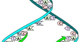 Security System Against Harmful DNA Found