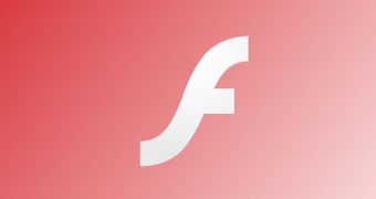 Security Update Available for Adobe Flash Player 11.6.602.171