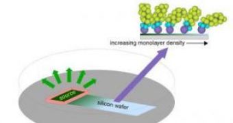 Schematic of the monolayer self-assembly process studied by the NIST/NCSU team, 1 X 5 centimeters in dimensions
