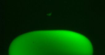 Oscillating droplet (salt water   glycerol) under stroboscobic illumination. The oil misture suffers the same effect and oscillates in water.
