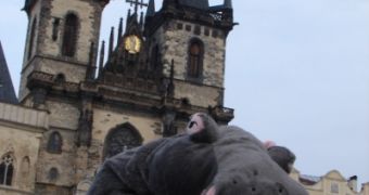 Send Your Stuffed Animal to Prague with Toy Travel