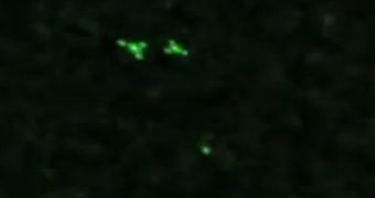 UFOs are spotted in Germany