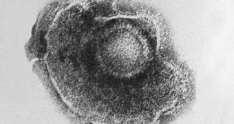 Thousands of previously-unknown viruses were detected in sewage from Europe, Africa and North America