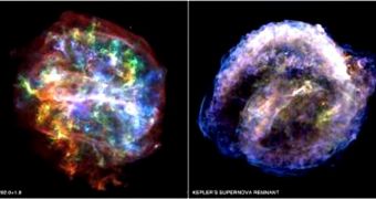 Shape Symmetry Reveals Type of Supernova Explosions