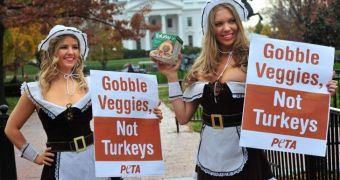 She-pilgrims in high heels ask people to not eat meat this Thanksgiving