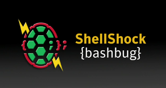 Shellshock Vulnerability Is Impressive in Both Magnitude and Simplicity