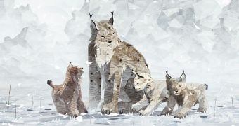 Lynx future