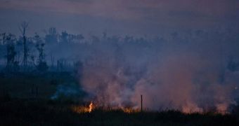 Wildfire (wildfire) burning in Riau Province, Indonesia