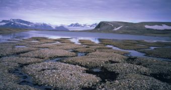 Climate change will cause the Siberian permafrost to thaw