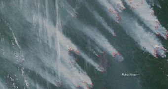 More than 30 wildfires are currently raging through the Siberian taiga, in Russia