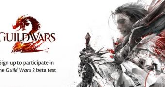 Guild Wars 2 is running a beta test soon