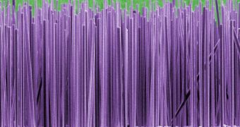 NIST "grows" semiconductor nanowires