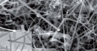 Image of silicon nanowires